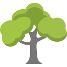 Burleson Tree Trimming Service