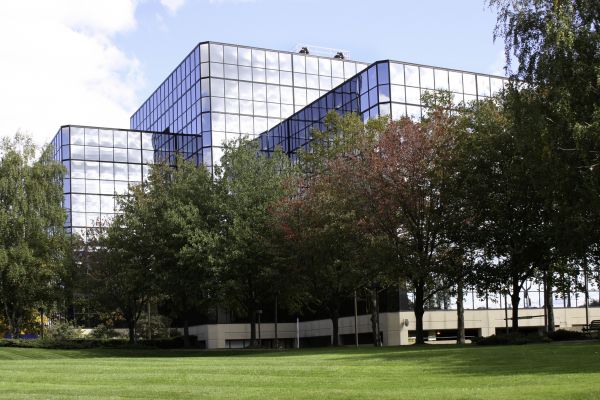 Cost of Commercial Tree Trimming in Burleson